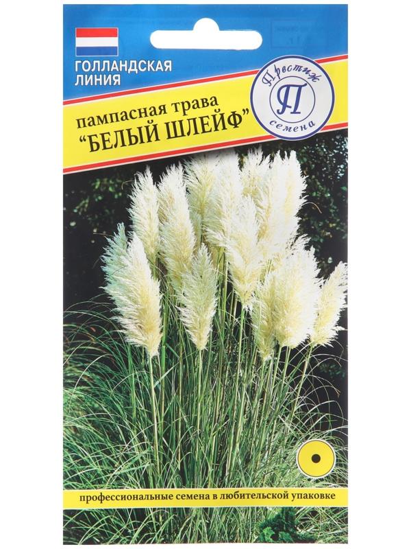 Семена цветов Пампасная трава 