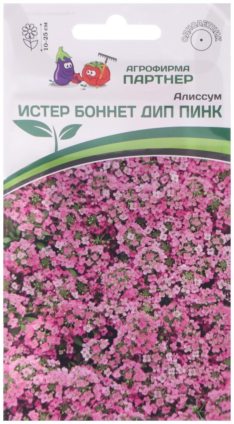 Семена цветов Алиссум морской 