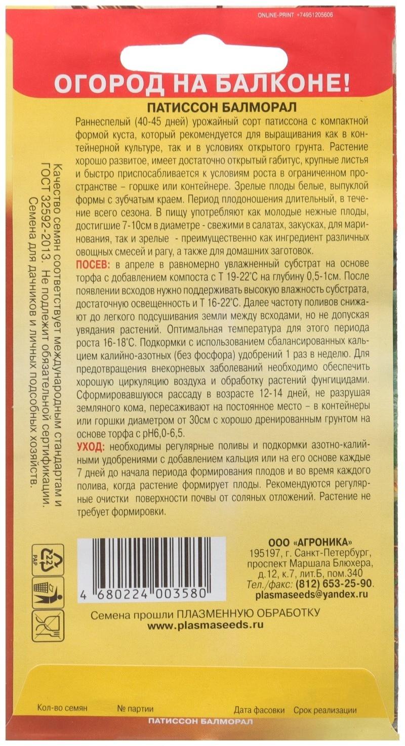 Патиссон Балморал  (Огород на балконе!), 3 шт