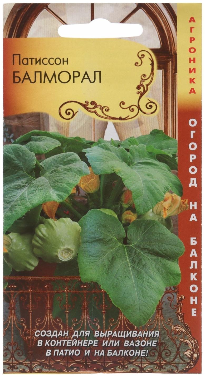 Патиссон Балморал  (Огород на балконе!), 3 шт