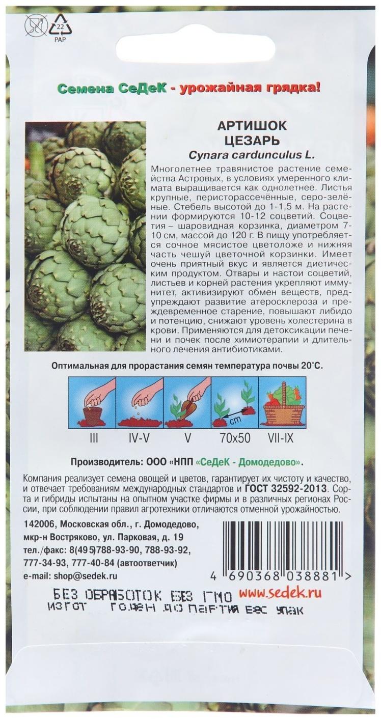 Семена Артишок 