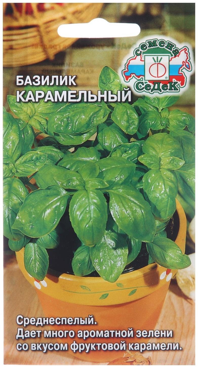 Семена Базилик 