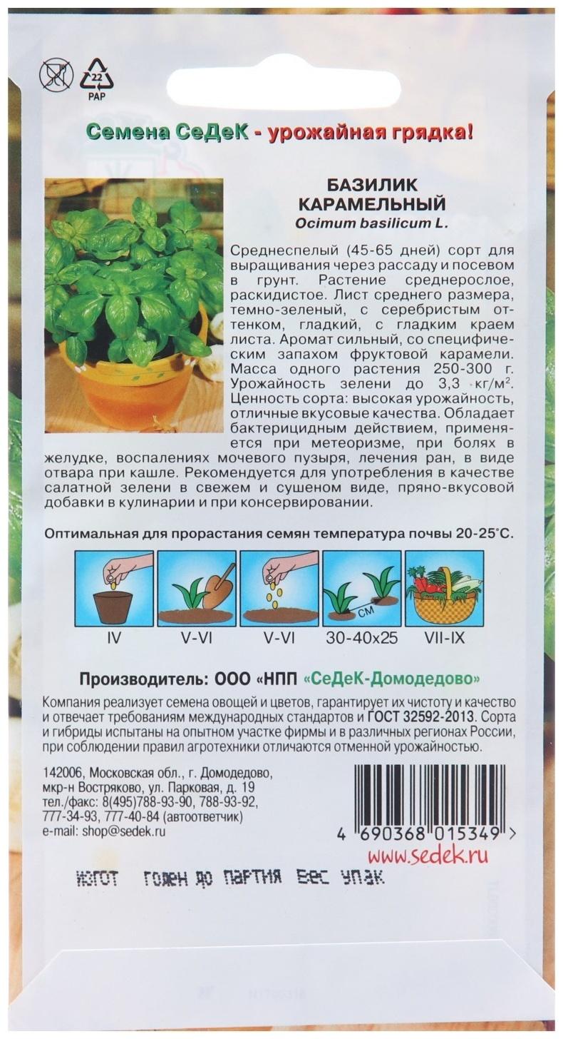 Семена Базилик 