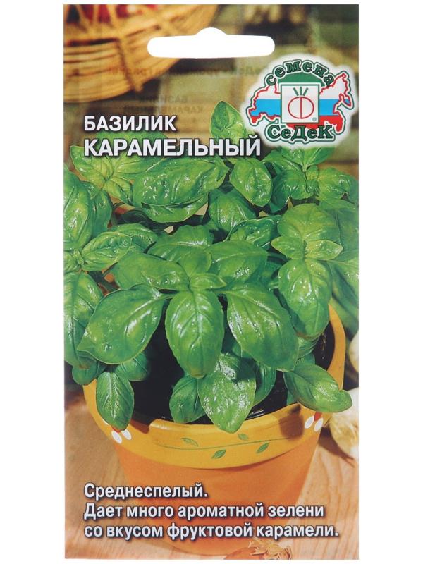 Семена Базилик 