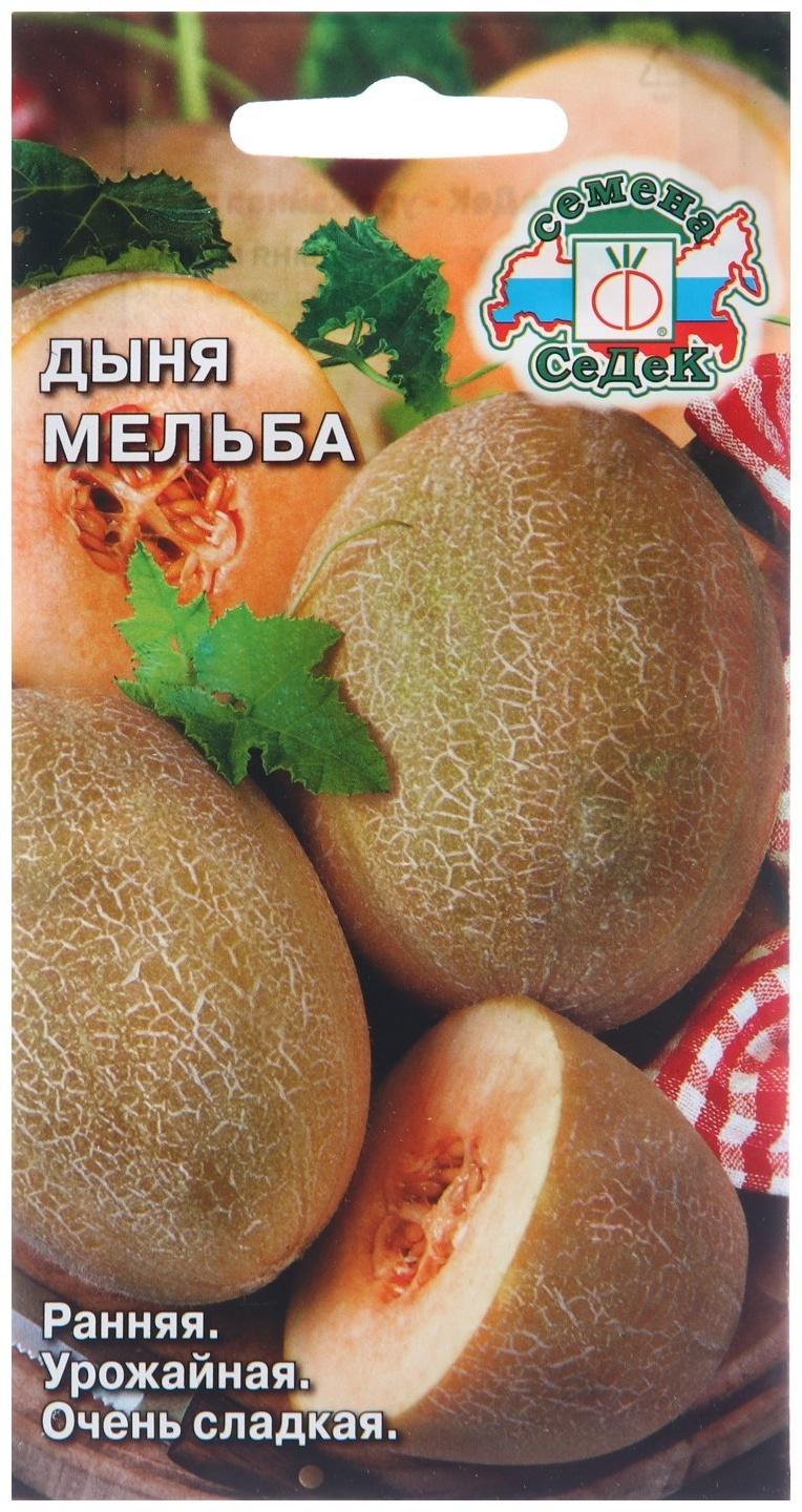 Семена Дыня 