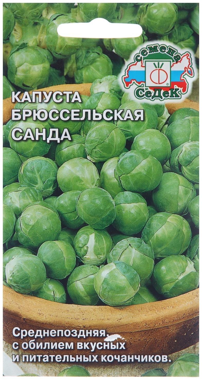 Семена Капуста брюссельская 