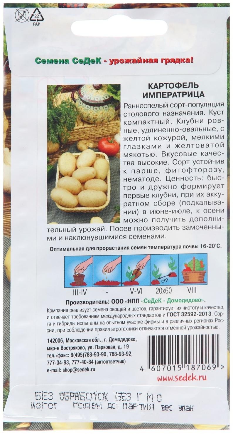 Семена Картофель 