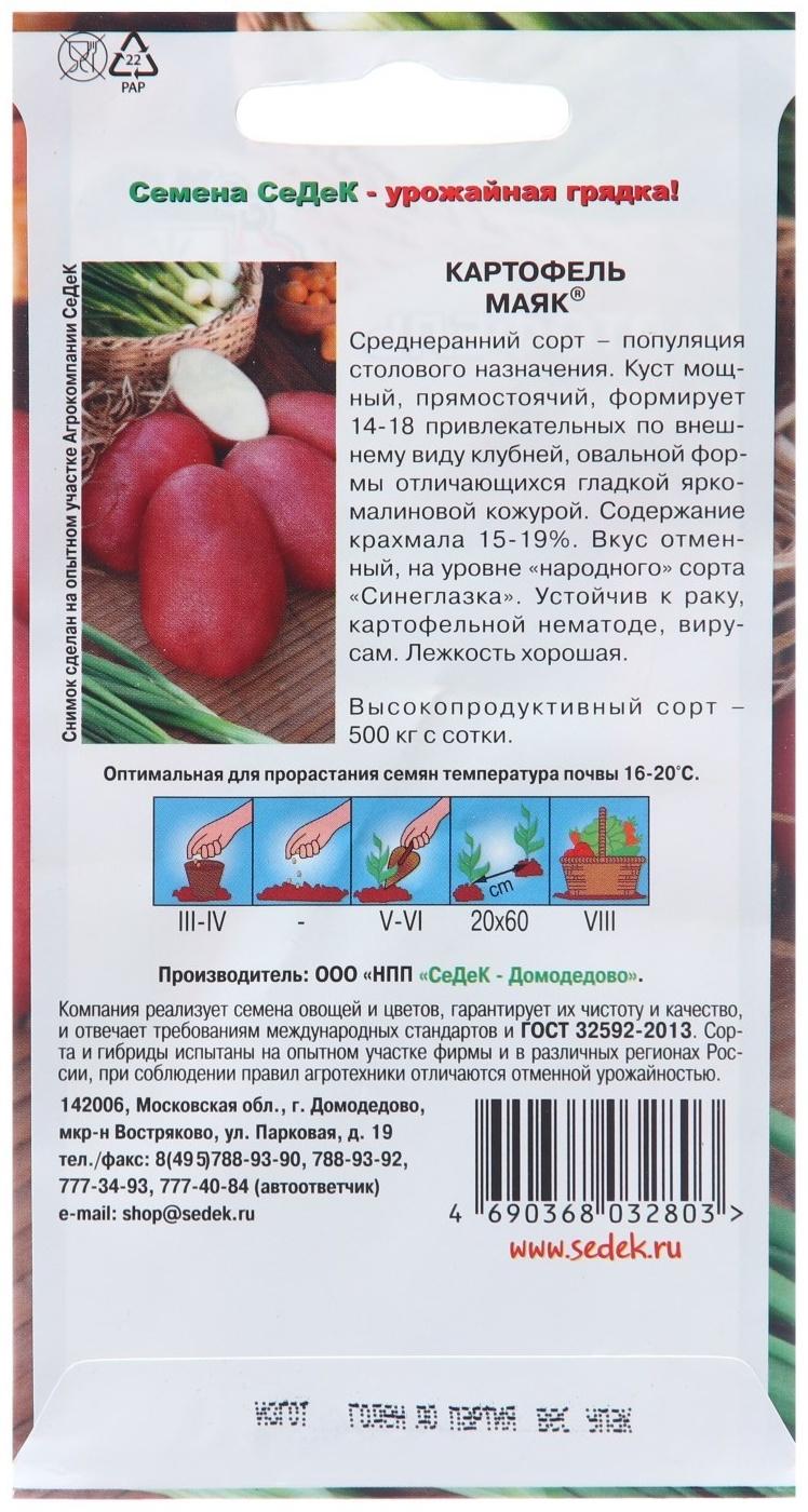 Семена Картофель 