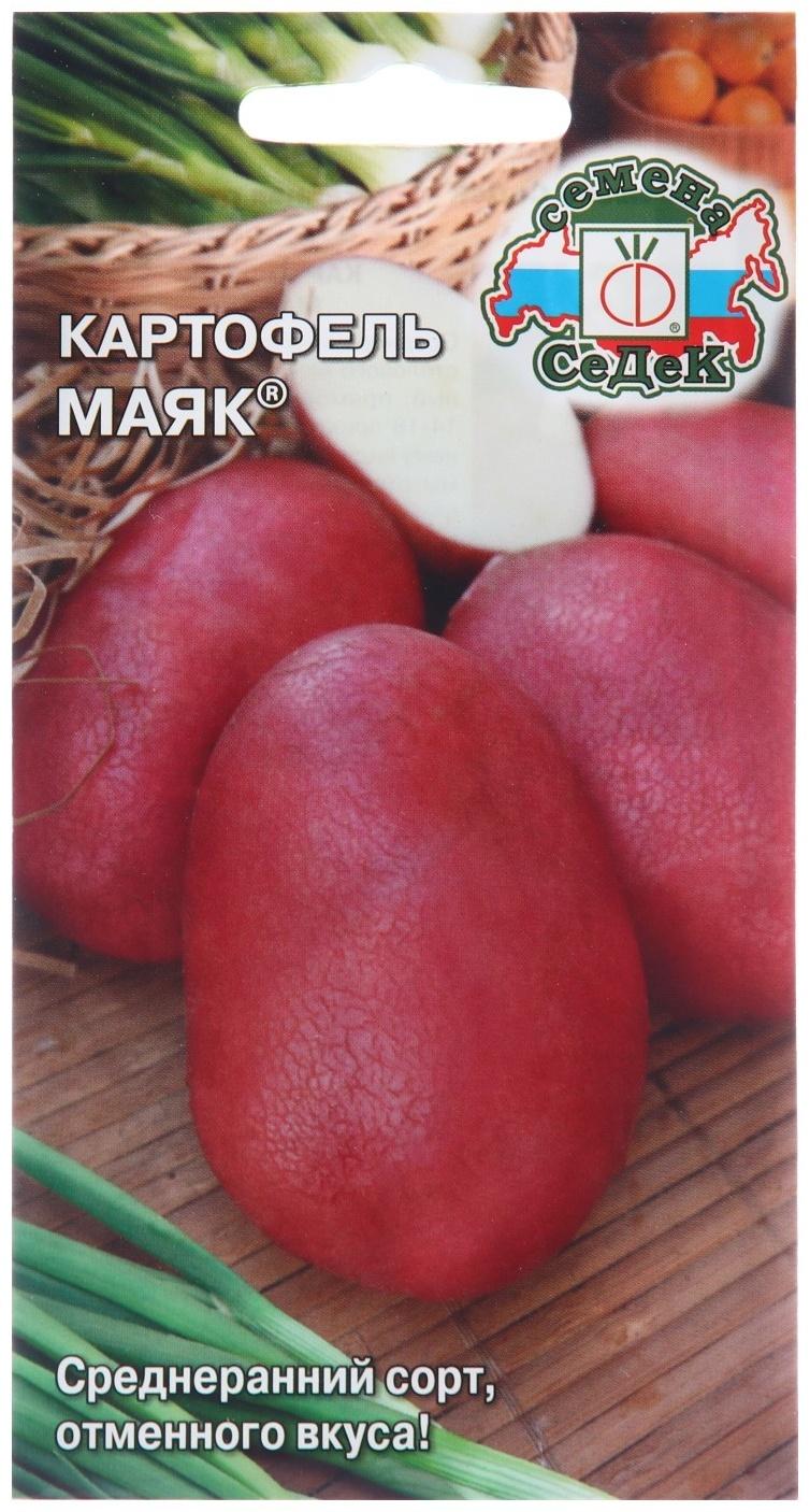 Семена Картофель 