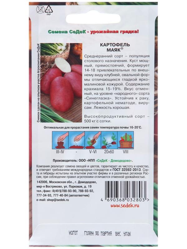 Семена Картофель 