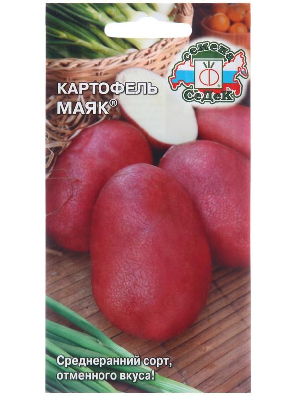 Семена Картофель 