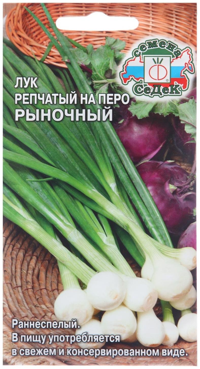 Семена Лук на перо 