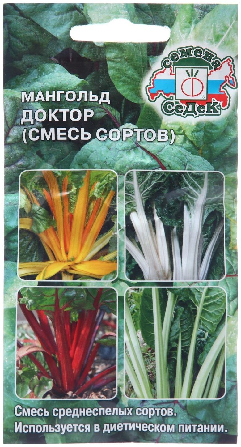 Семена Мангольд 