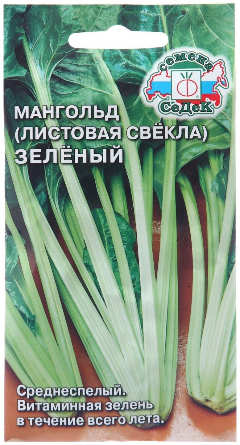 Семена Мангольд 