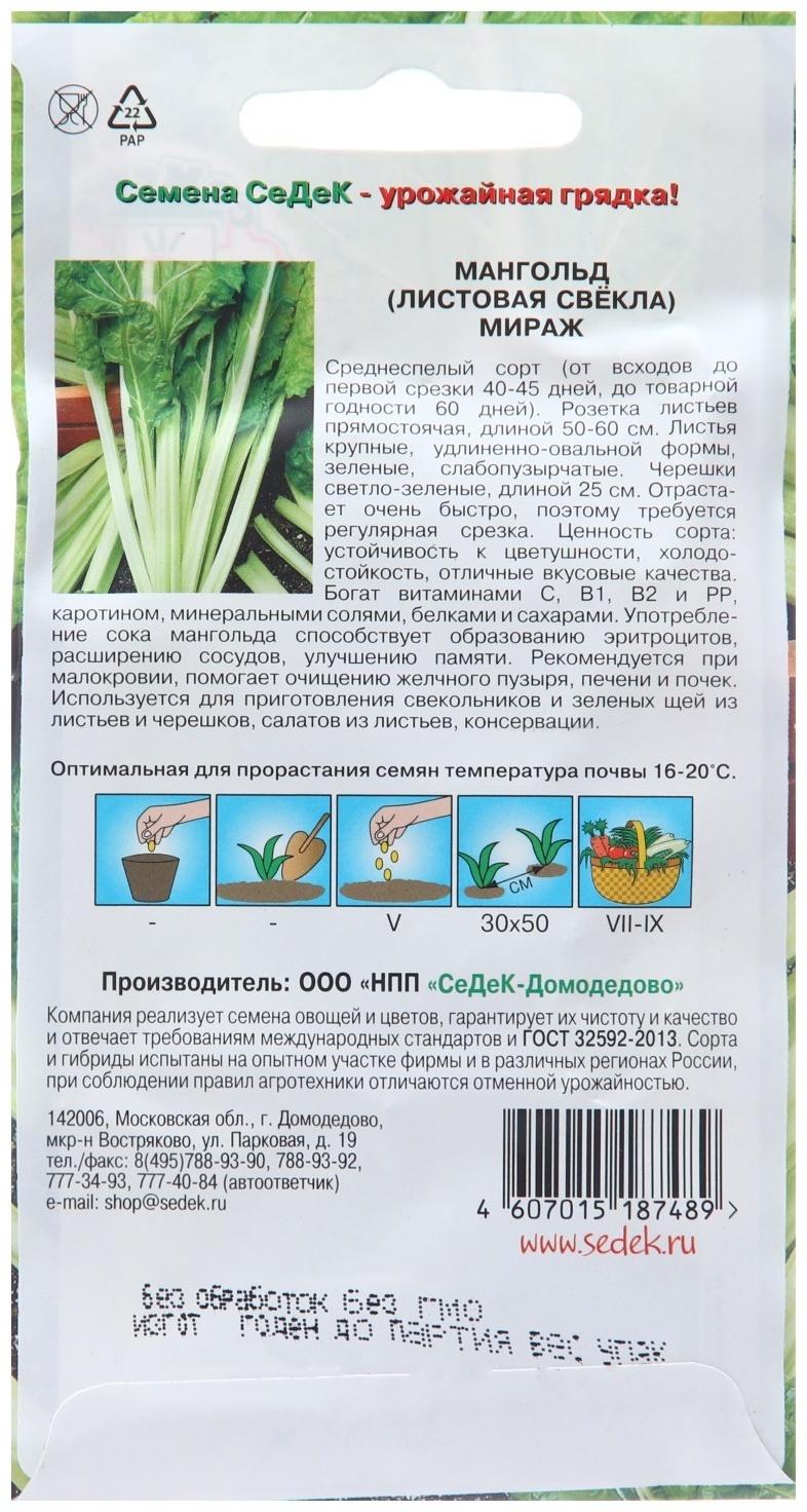 Семена Мангольд 