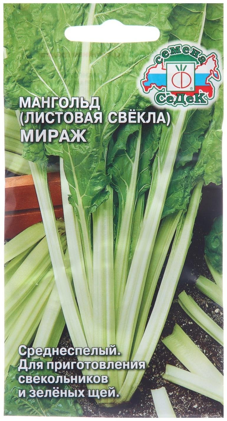 Семена Мангольд 