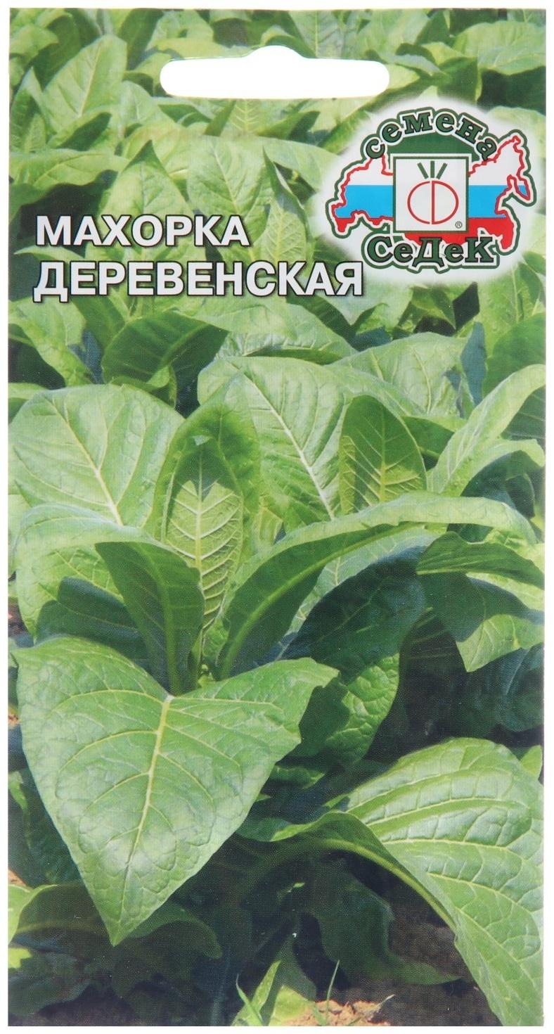 Семена Махорка 