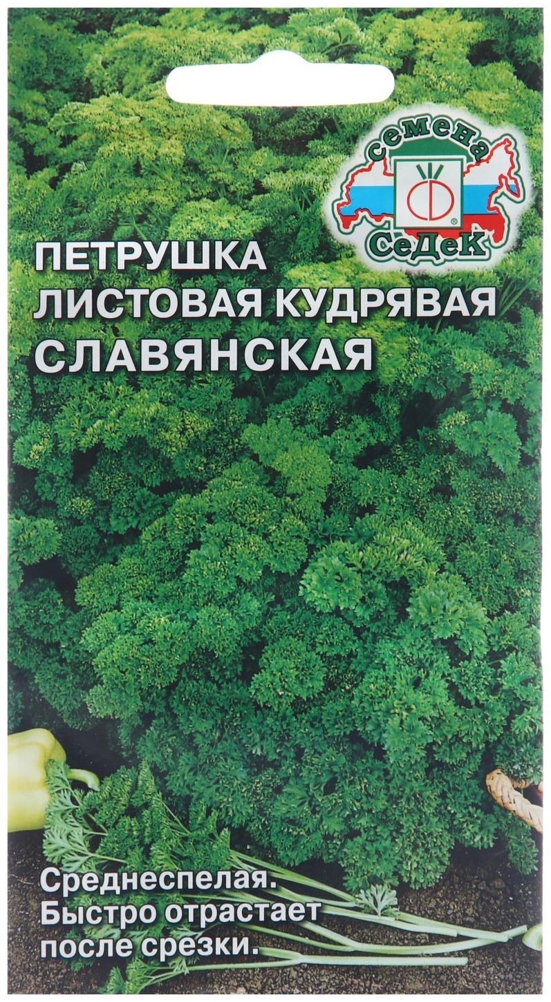 Семена Петрушка 