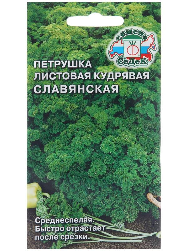 Семена Петрушка 