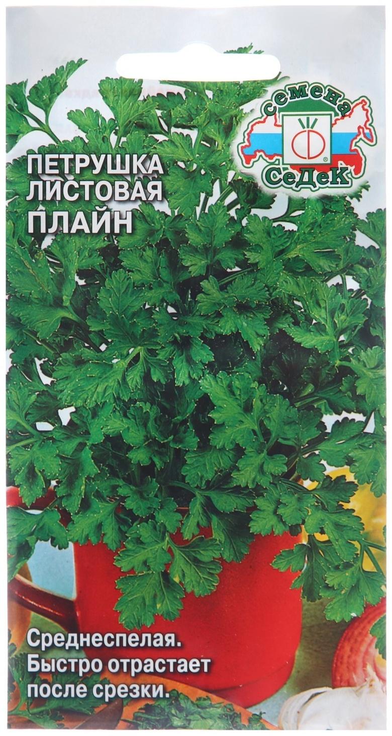 Семена Петрушка 