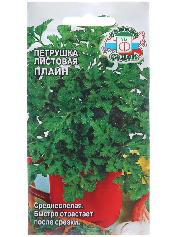 Семена Петрушка 