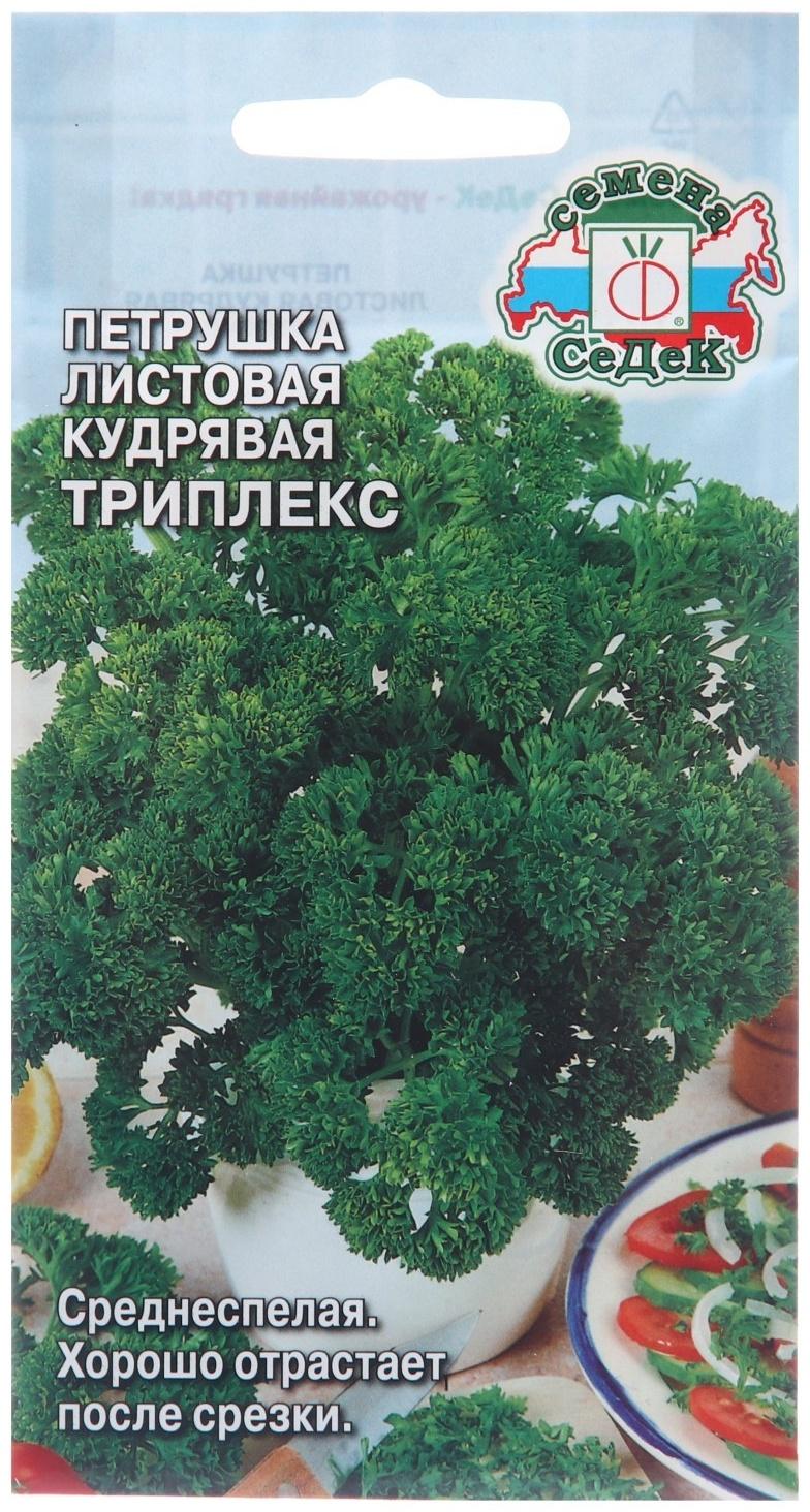 Семена Петрушка 