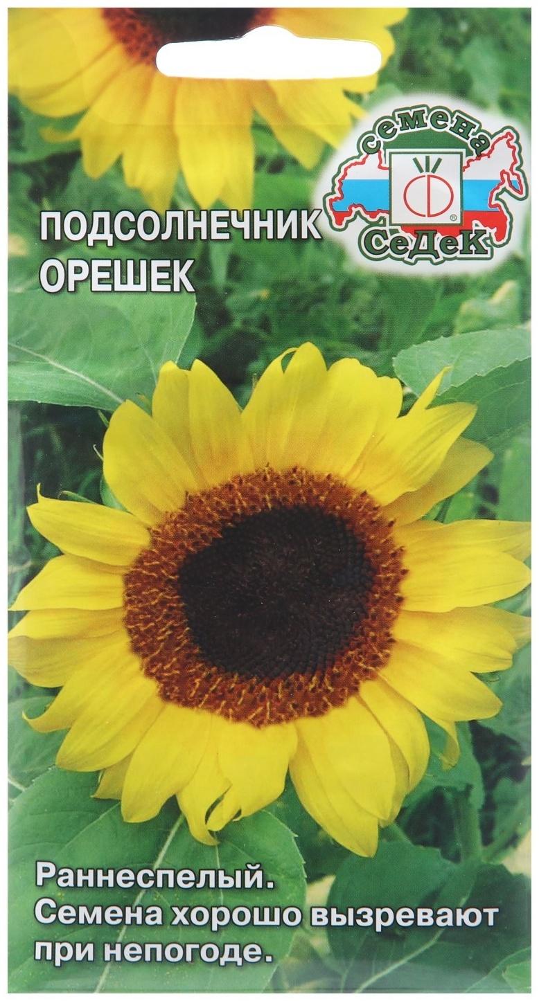 Семена Подсолнечник 