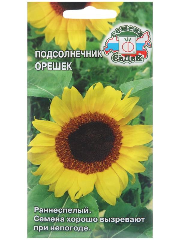 Семена Подсолнечник 