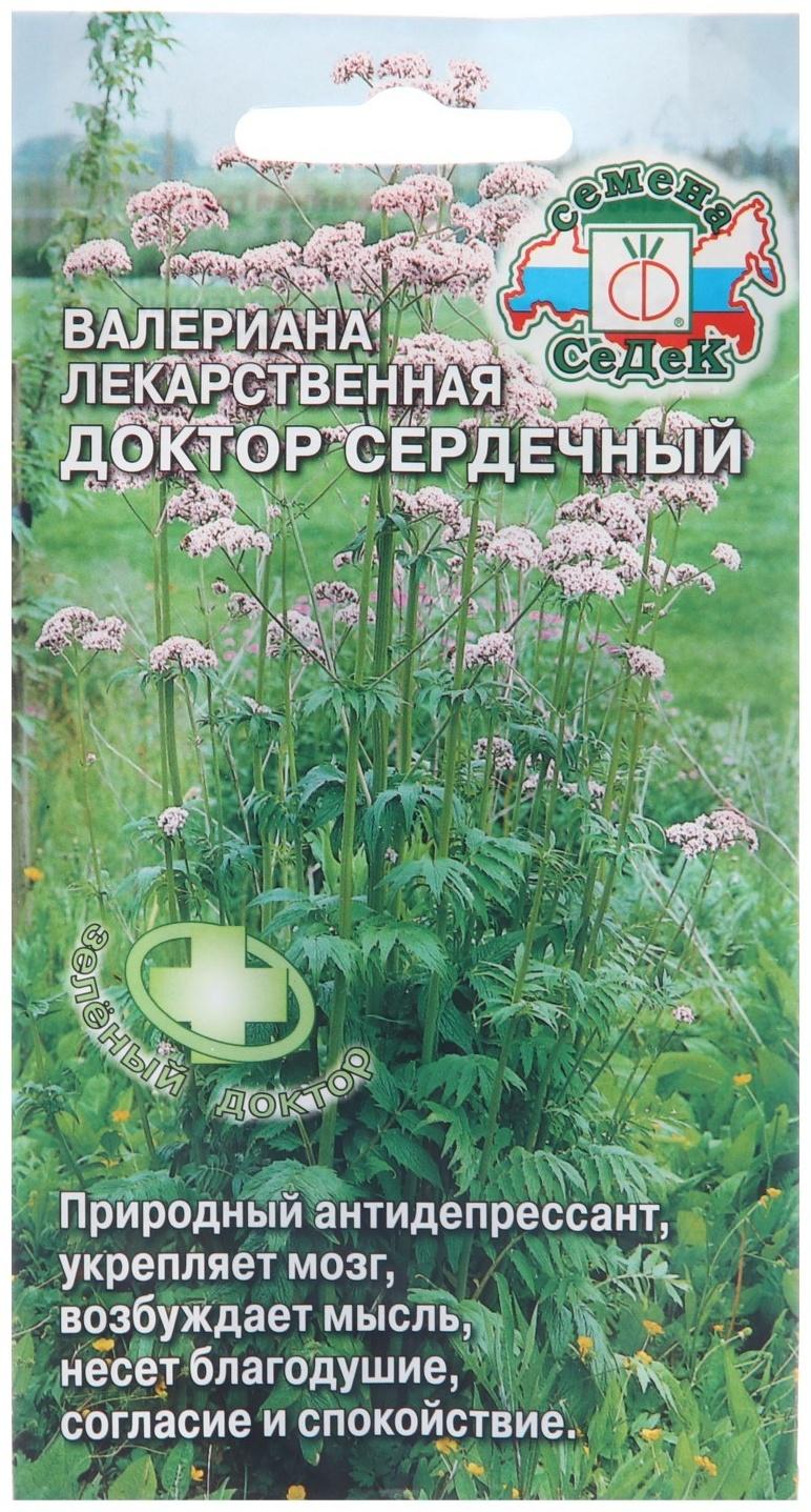 Семена Валериана 