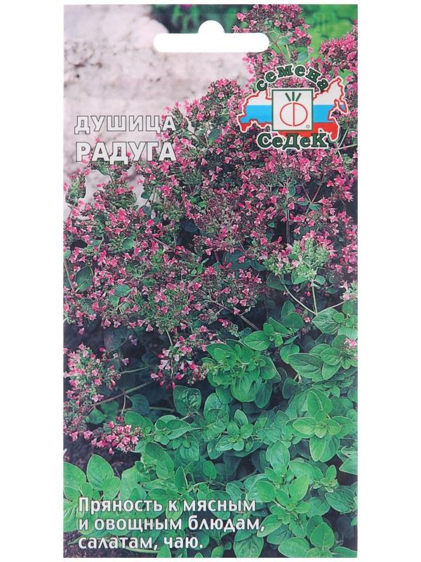 Семена Душица 