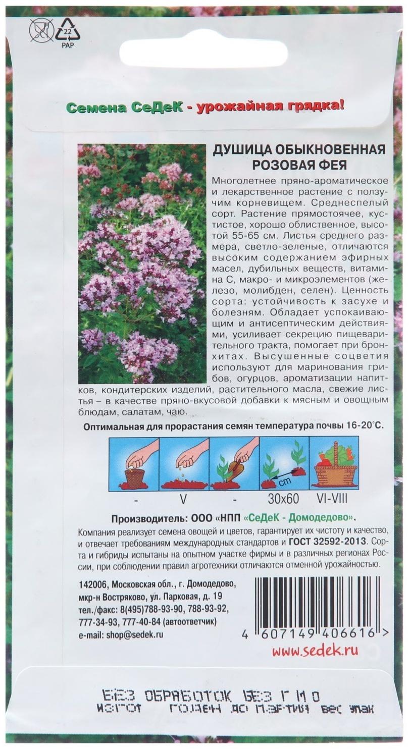 Семена Душица 