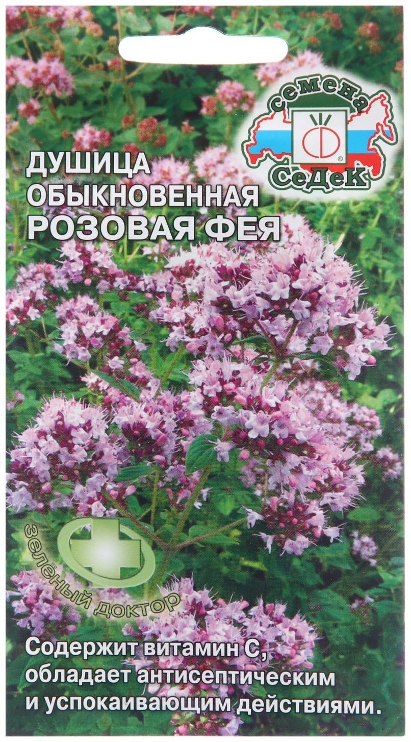 Семена Душица 