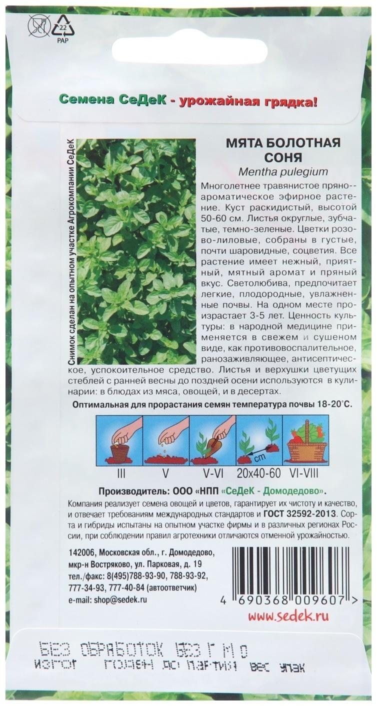 Семена Мята 