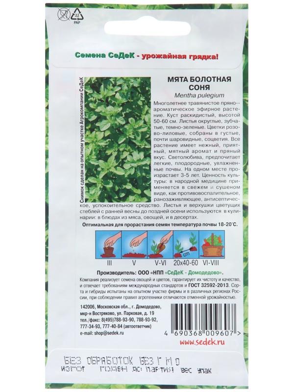 Семена Мята 