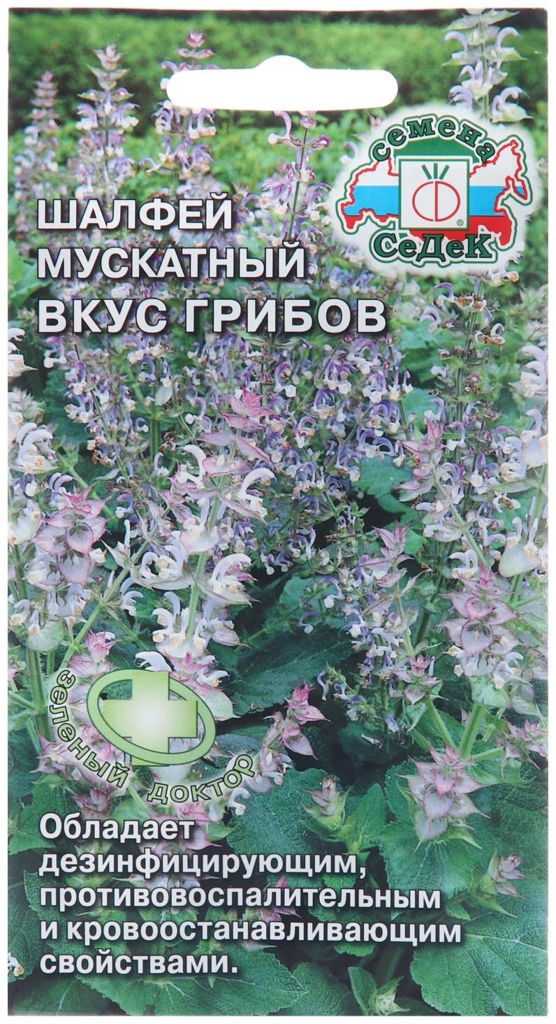 Семена Шалфей 