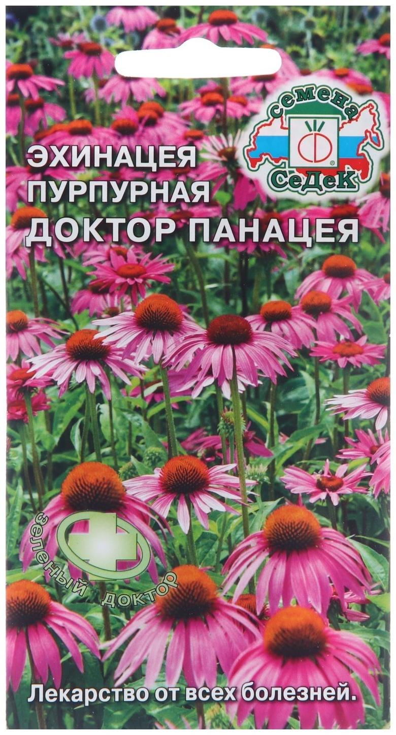Семена Эхинацея 