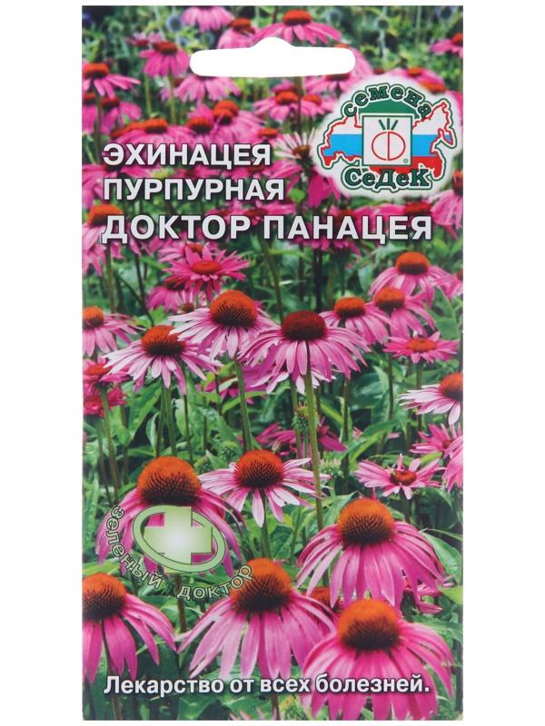Семена Эхинацея 
