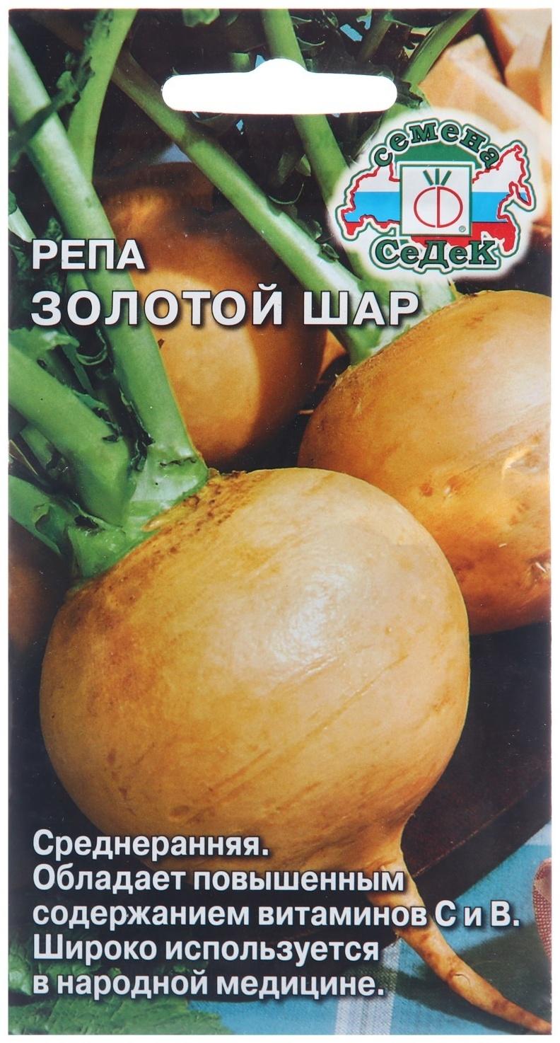 Семена Репа 