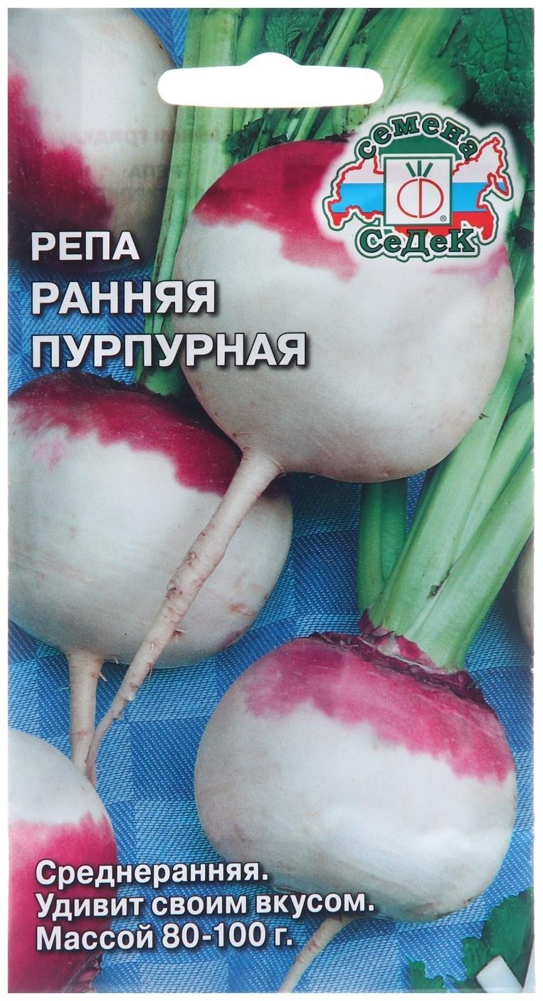 Семена Репа 