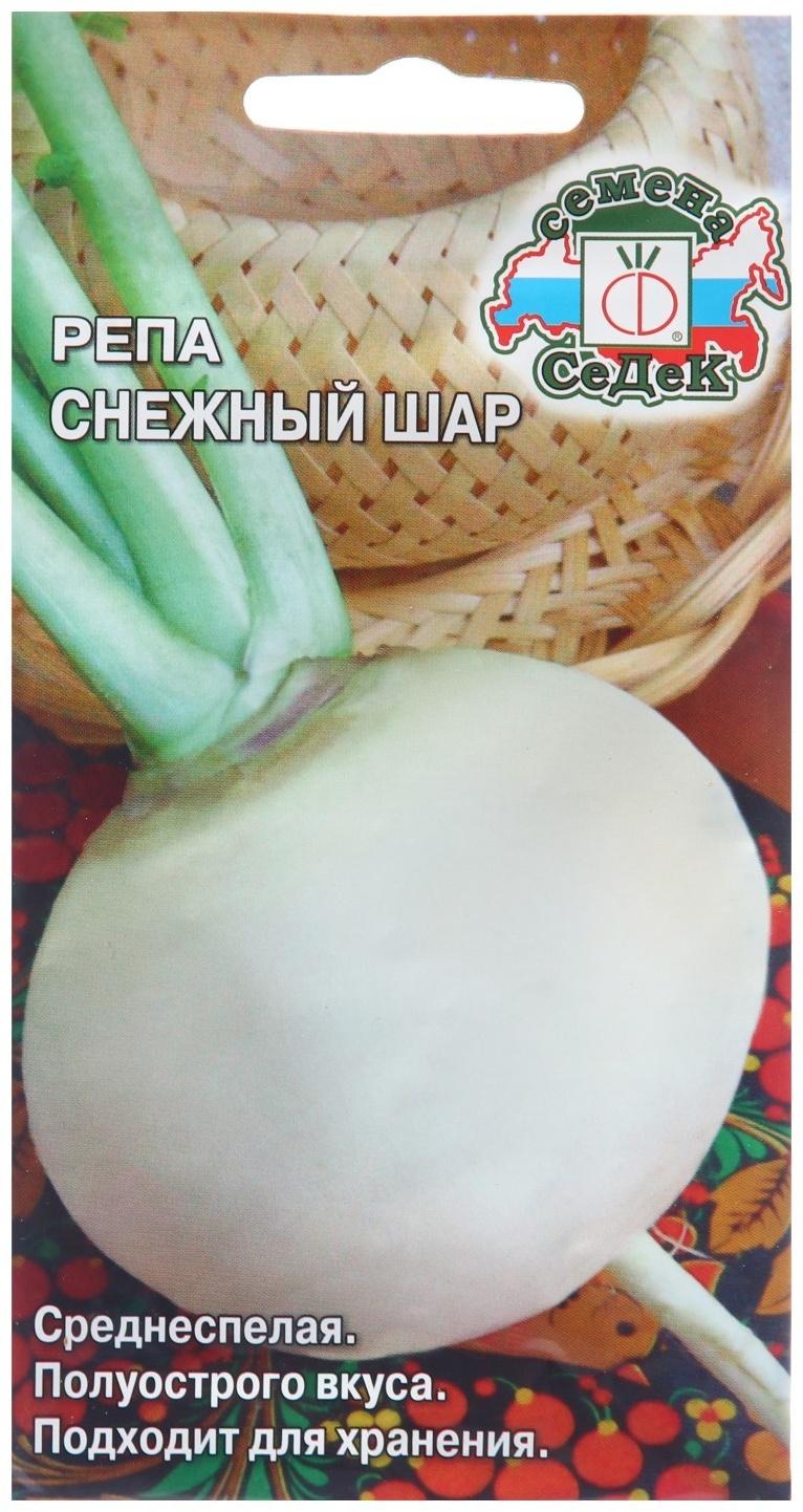 Семена Репа 