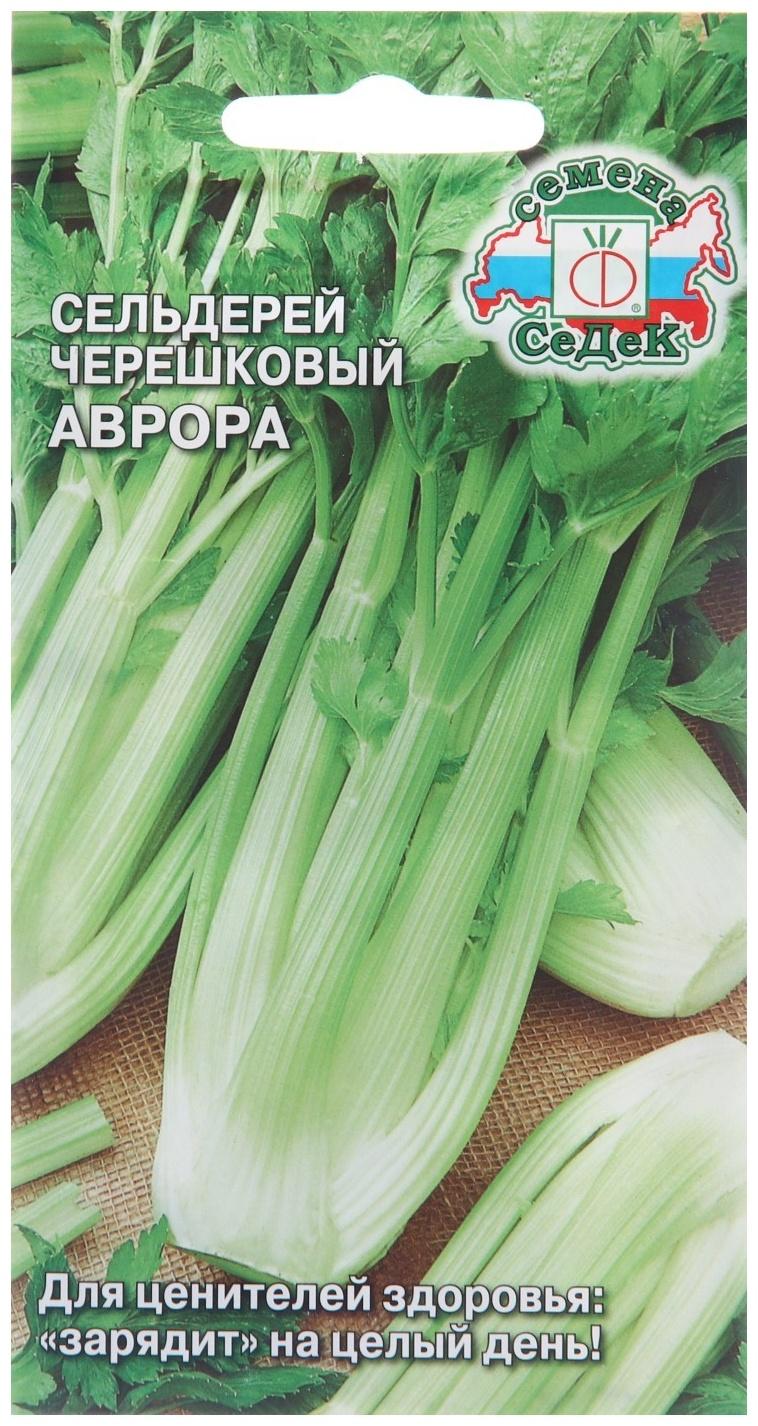 Семена Сельдерей 