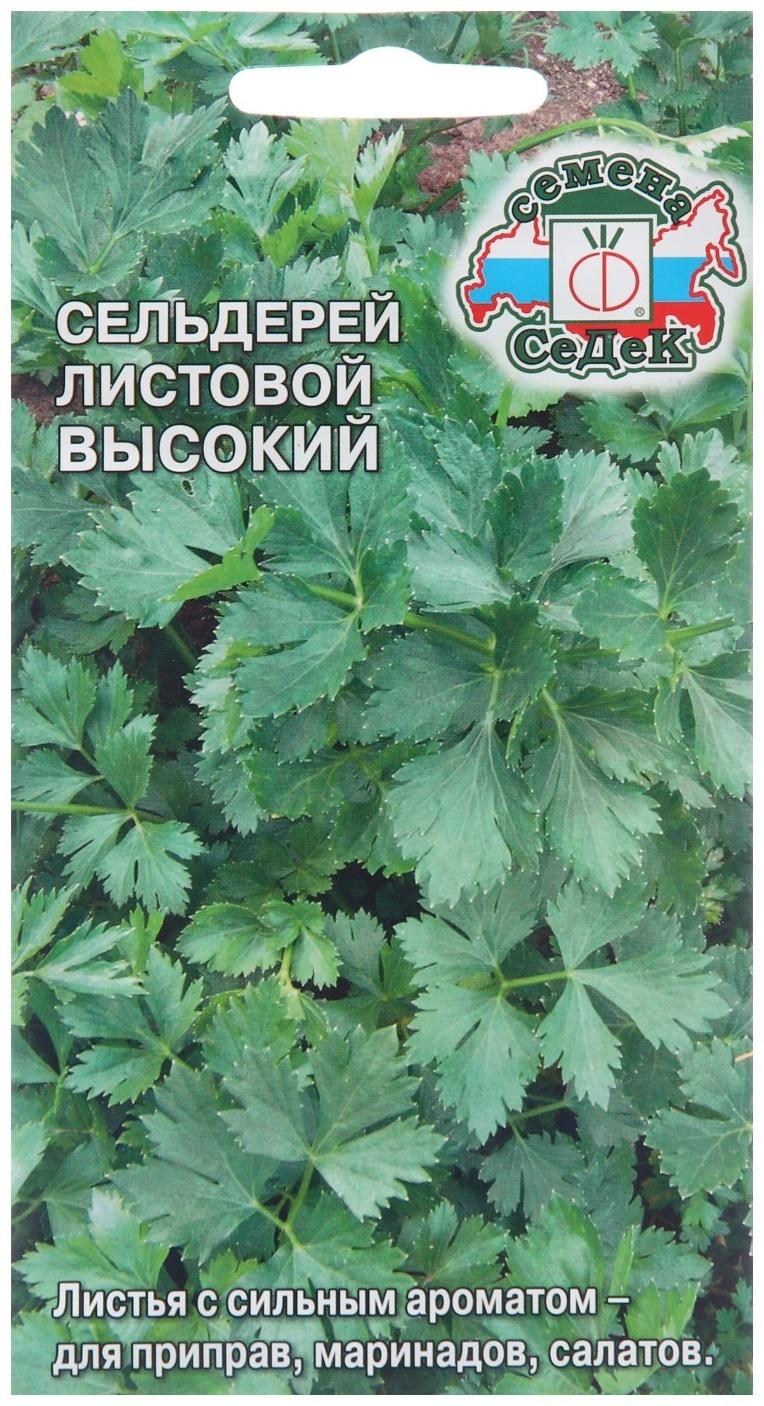 Семена Сельдерей 