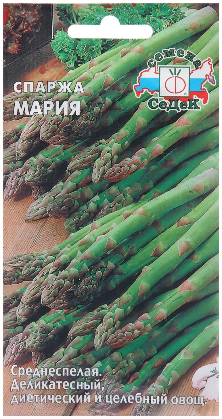 Семена Спаржа 