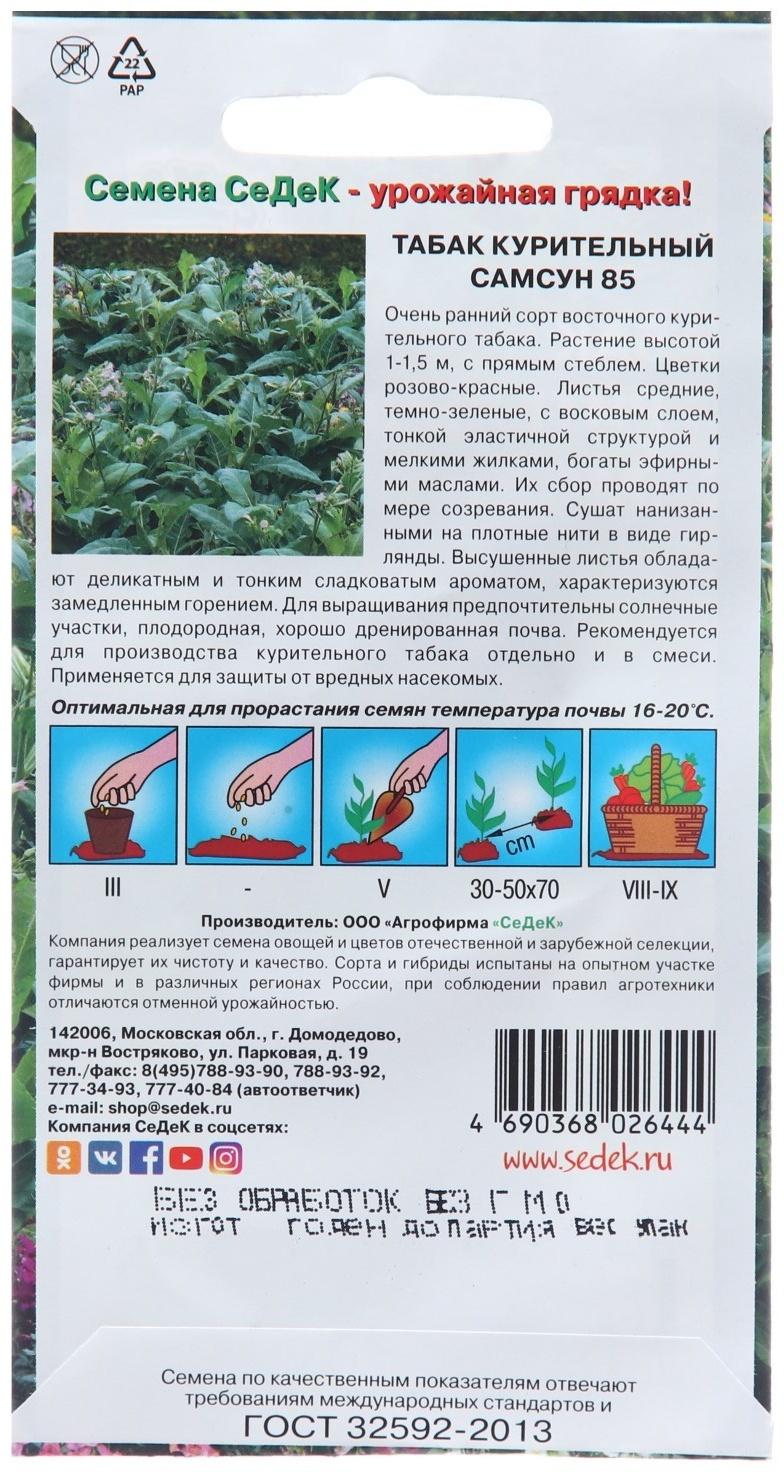 Семена Табак 