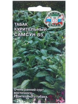 Семена Табак 