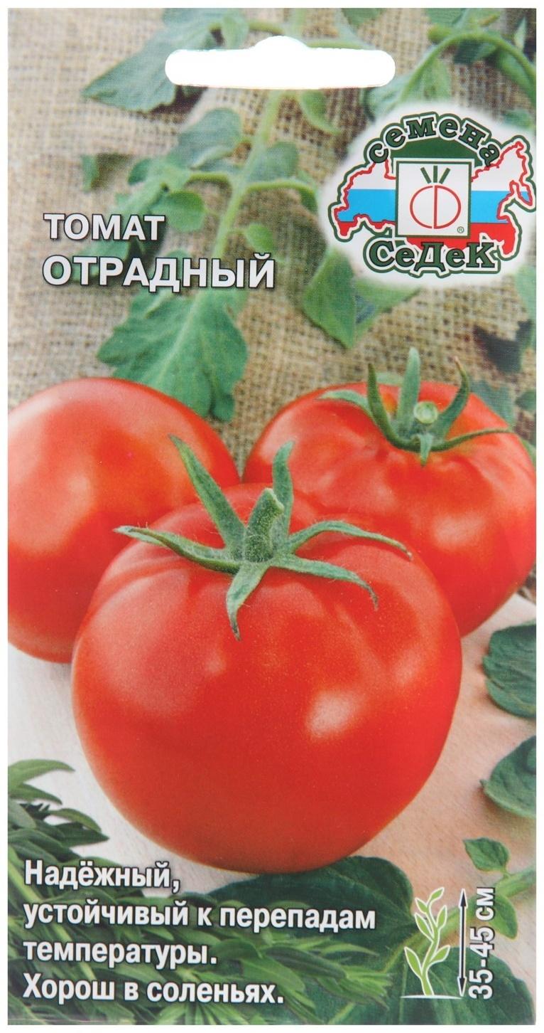 Семена Томат 