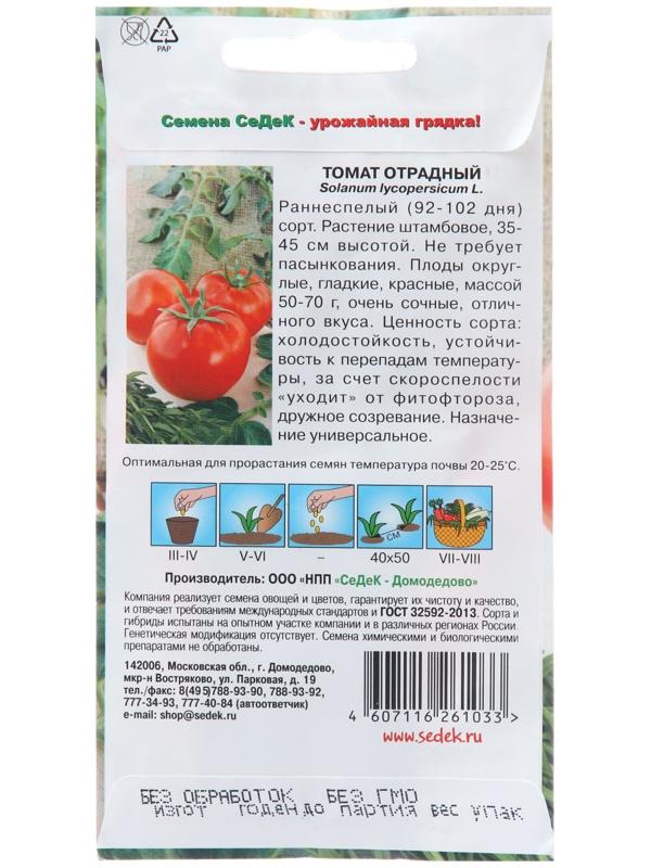 Семена Томат 