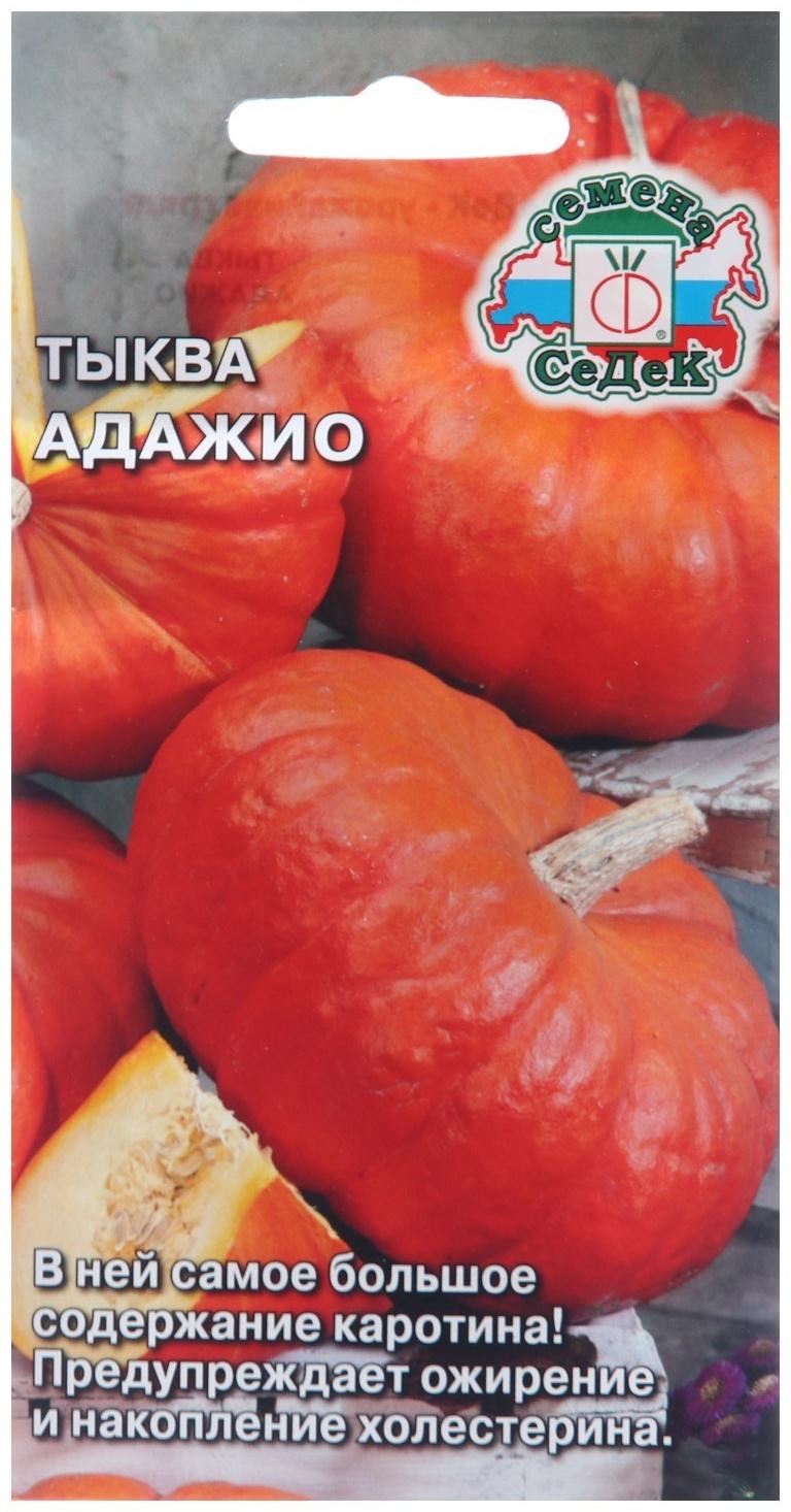 Семена Тыква 