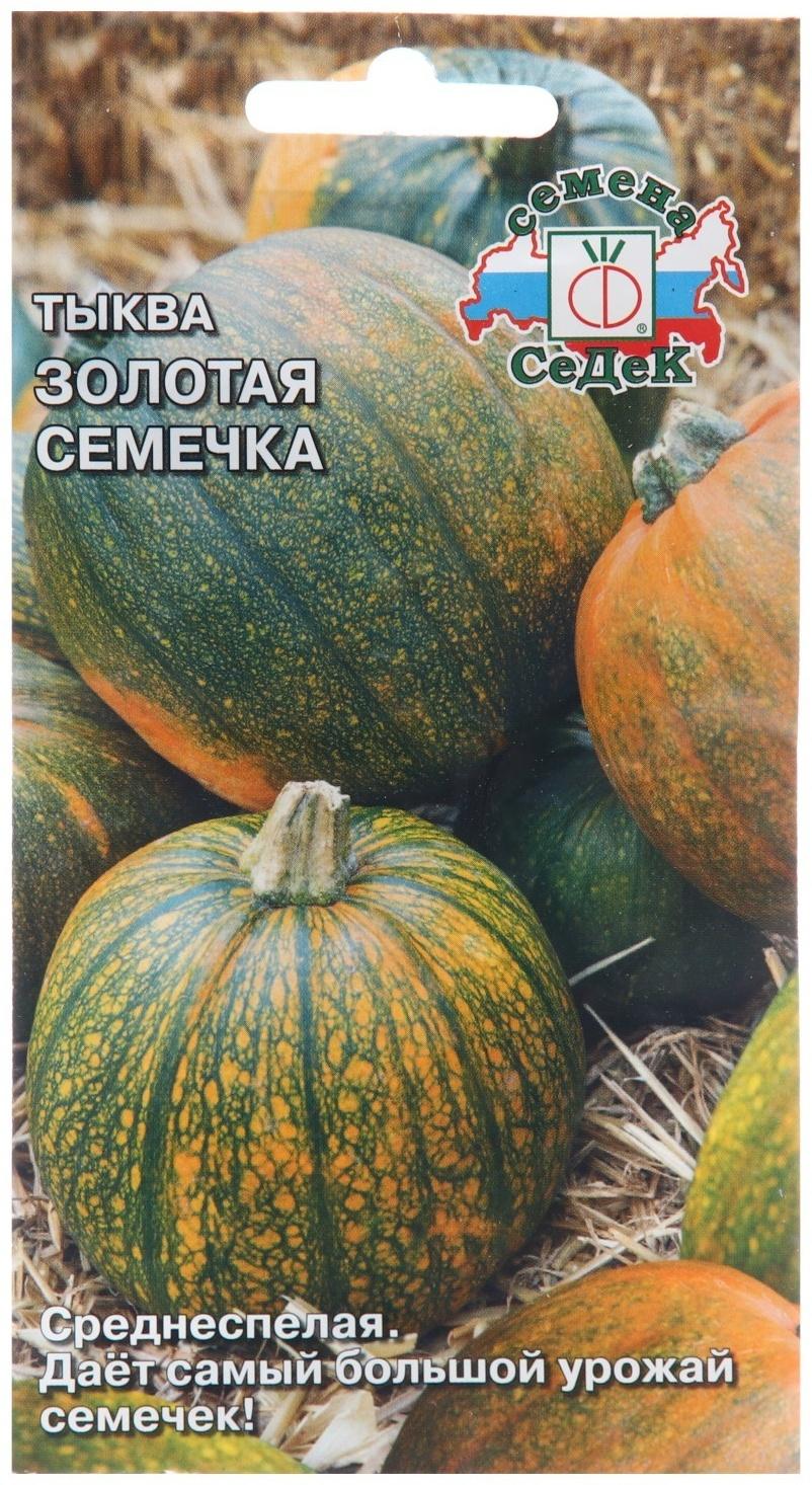 Семена Тыква 