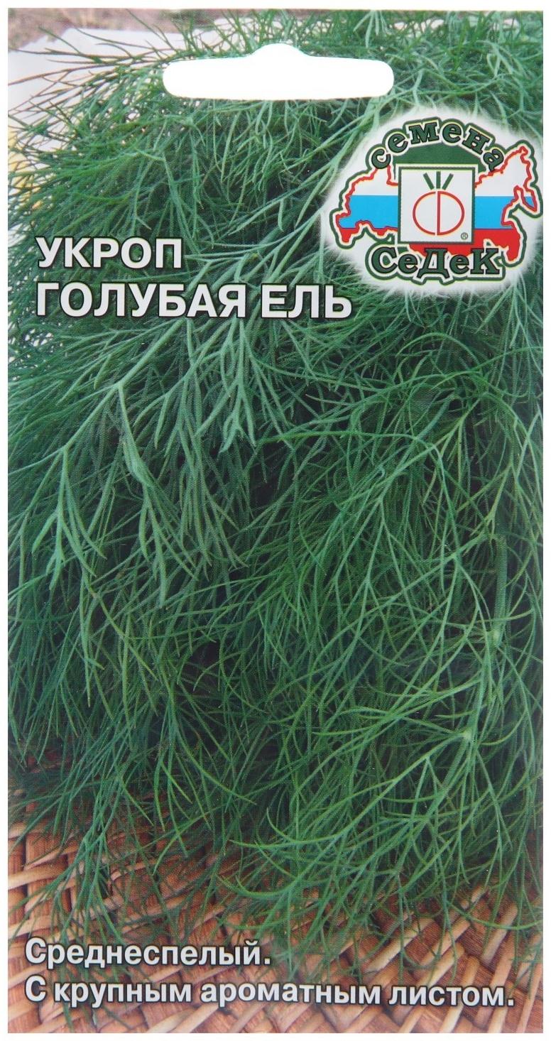 Семена Укроп 